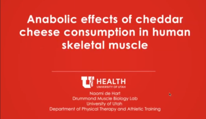 Anabolic effects of cheddar